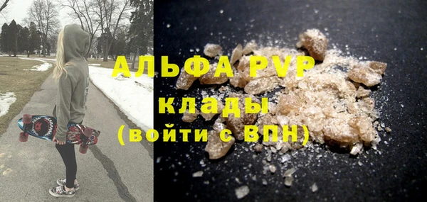 СК Гусев