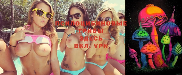 прущая мука Гусь-Хрустальный