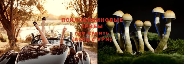 СК Гусев